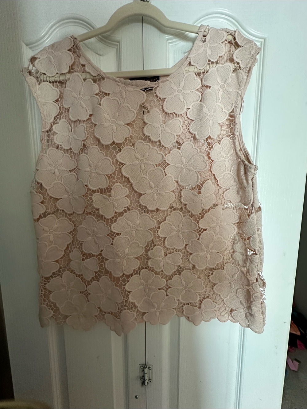 Love & Legend Floral Lace Sleeveless Camisole - Blush
